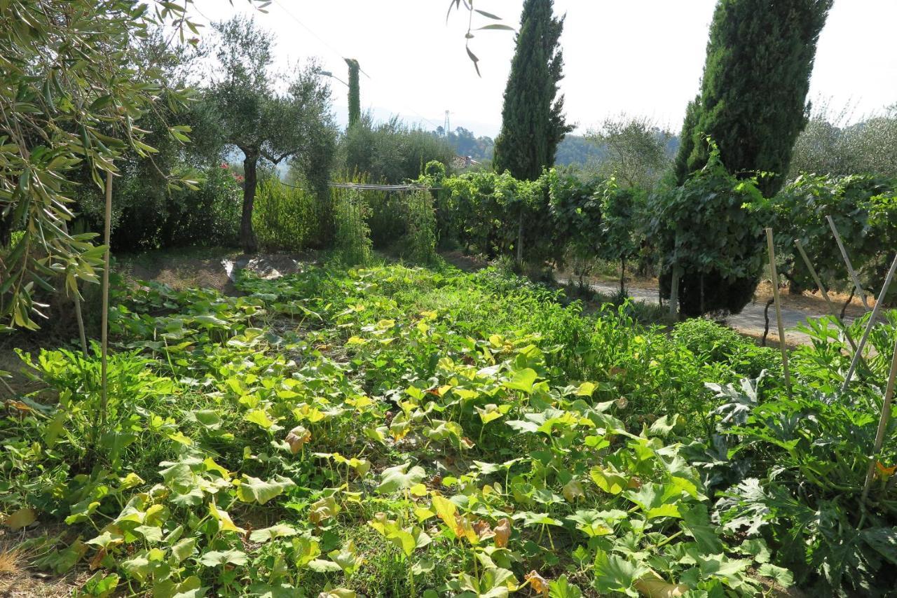 Villa Banks 1 Vezzano Ligure Exterior foto