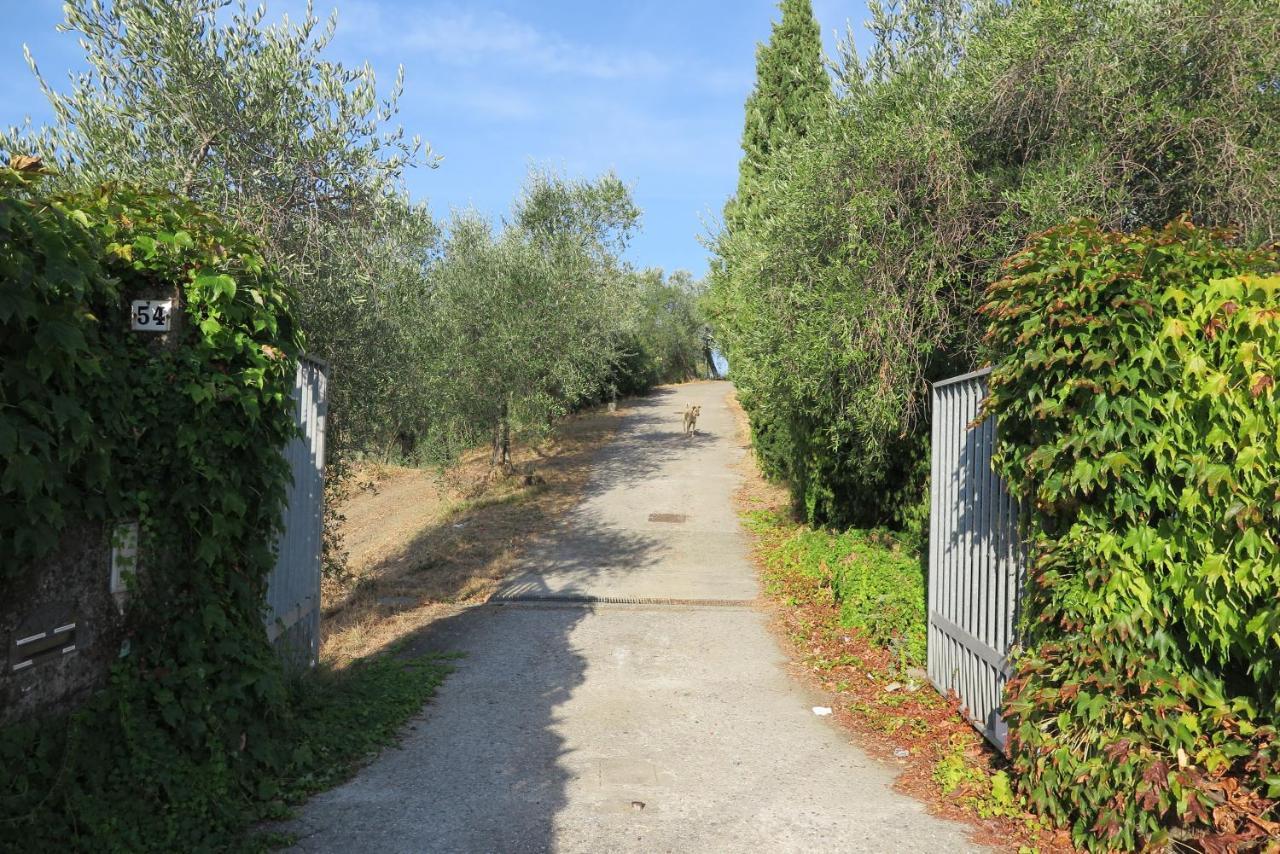 Villa Banks 1 Vezzano Ligure Exterior foto